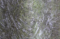 Southoe fibreglass roof work